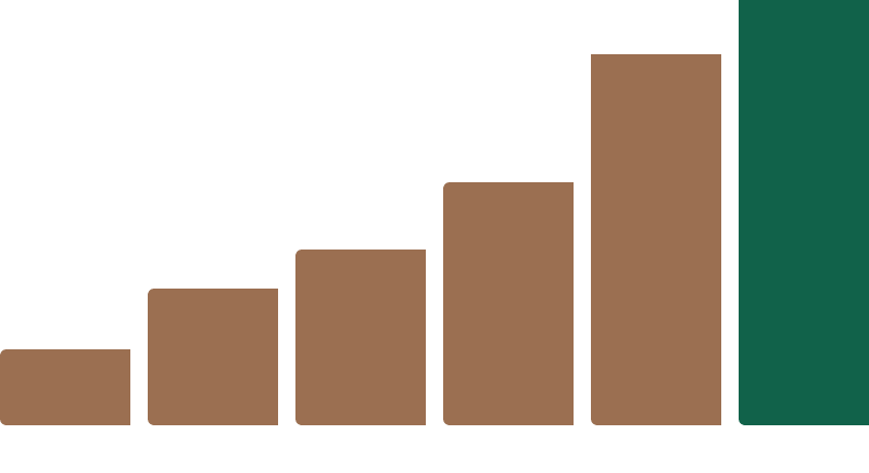 광주막 성장 그래프